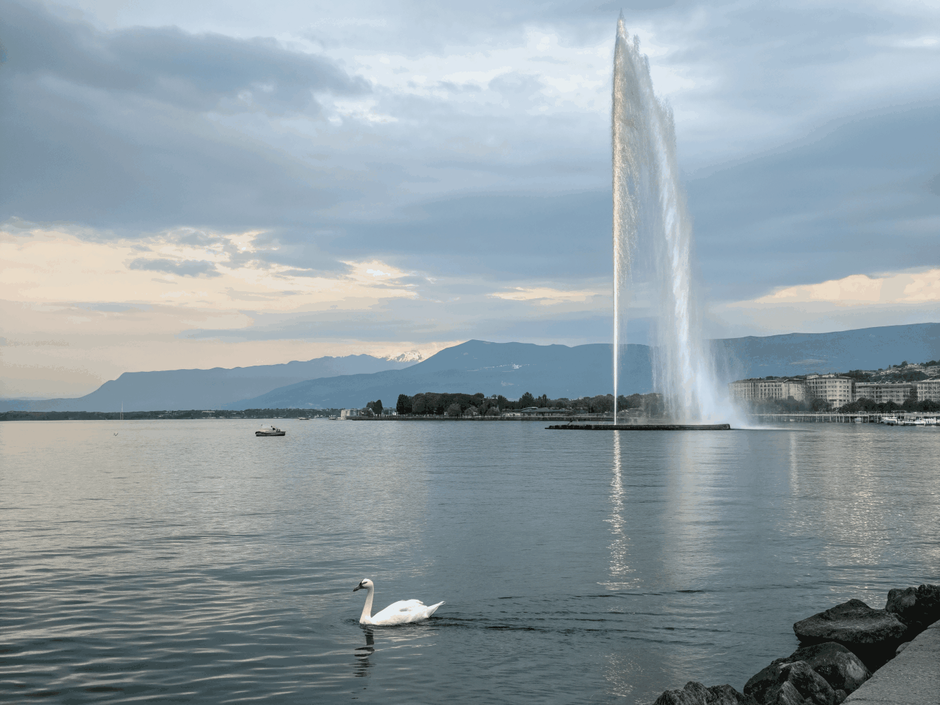 Cenevrə Jet d'Eau fəvvarəsi və göl sahili mənzərəsi