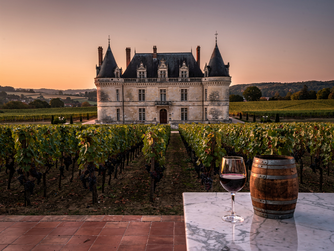 Luara Vadisi qalaları (Loire Valley châteaux)